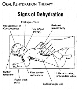 Diagram on Rehydration(14k)