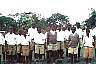 Iganga Boys Primary